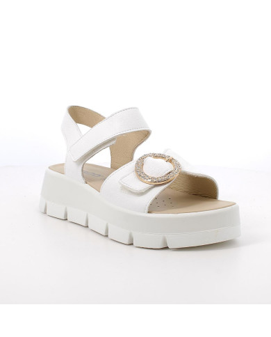 SANDALO IGI&CO DONNA SI.NAPPA BOTTAL 1160344