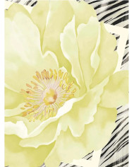 FOULARD LIU JO PEONIA 70X70CM 2A6053 T2745 09261