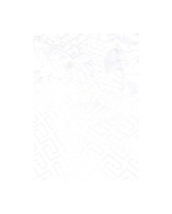 FOULARD LIU JO GRANDE A FIORI 120X120CM 2A6043 T2745 22222